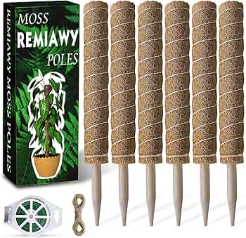 91jlbM477PS._AC_UF350,