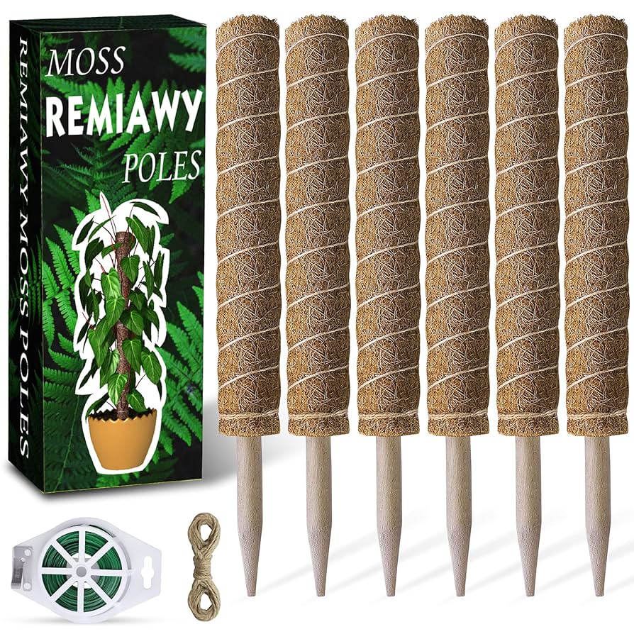 Moss boards Q57 22-23　MOSS STICK Amazon.com : Joyhalo 48.7 Inch Moss Pole Monstera Plant