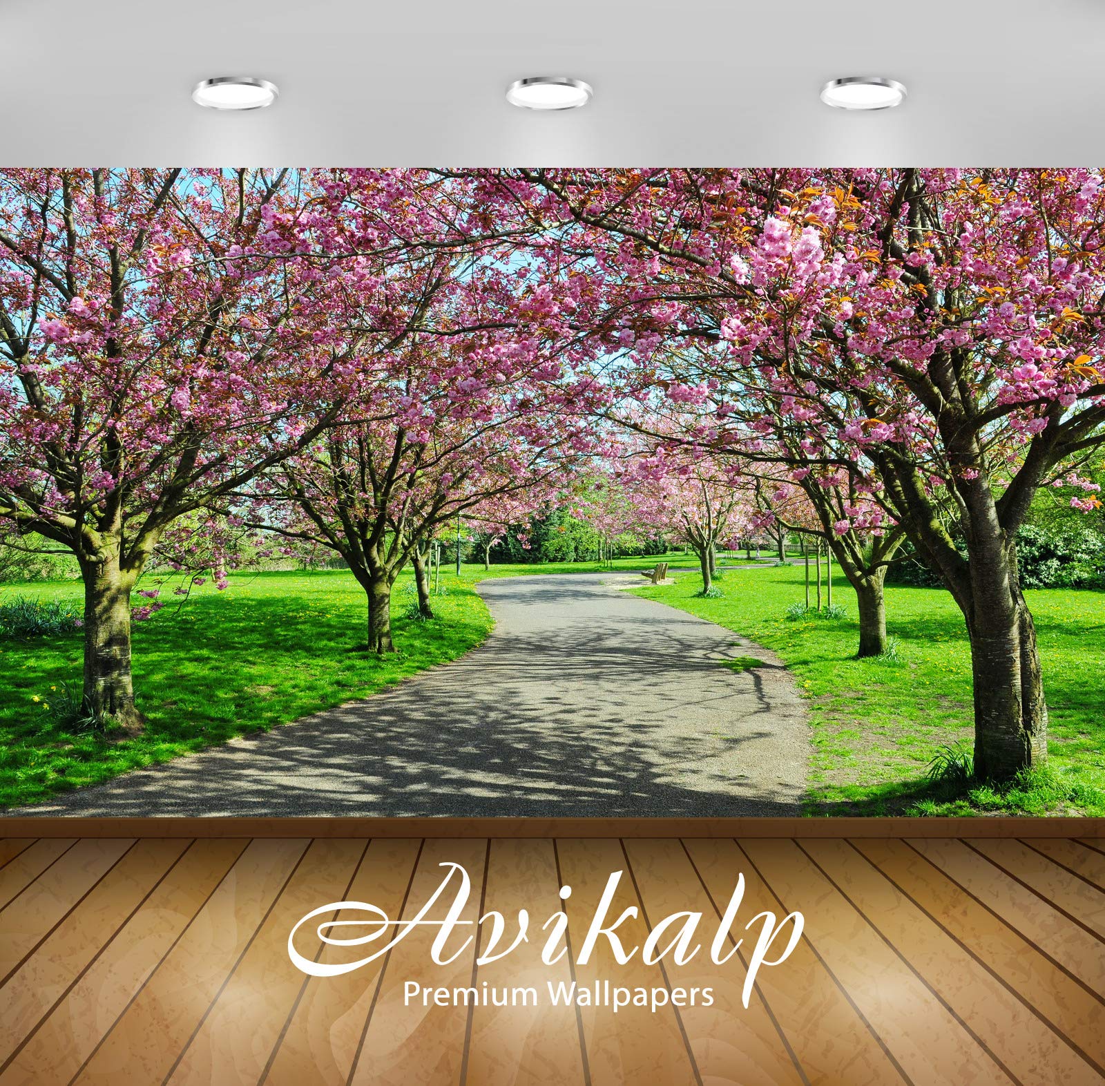 Wallpaper Road Tulips Trees 106,633 Flower Road Stock Photos, High Res