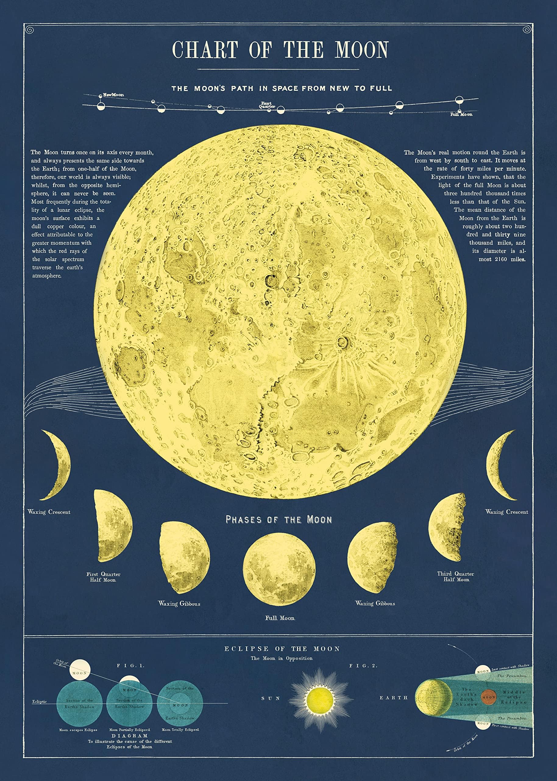 Cavallini & Co. Decorative Wrap Poster, Moon Chart, 20 x 28 inch Italian Archival Paper (WRAP/MOONCHT)…