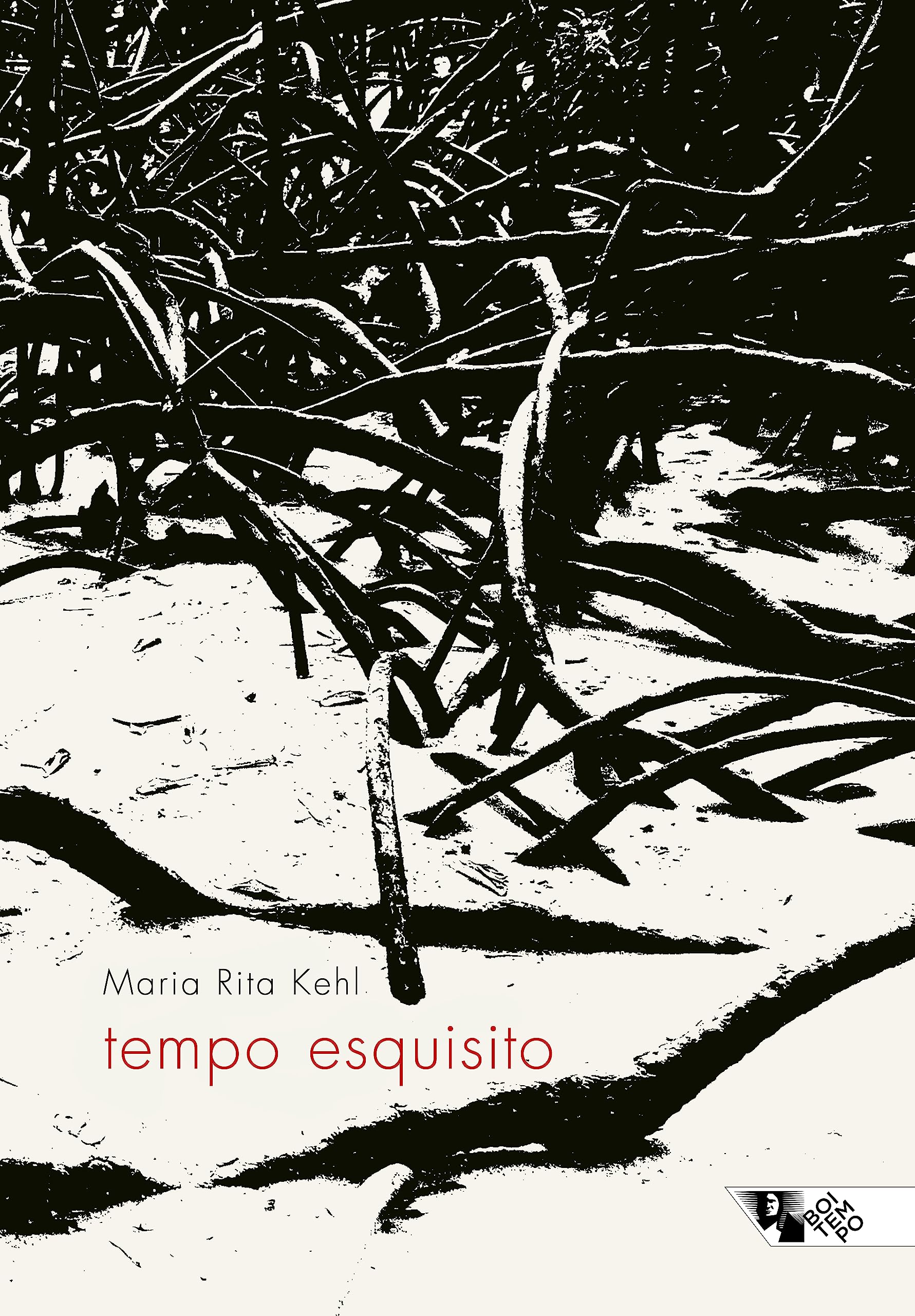 Tempo Esquisito | Amazon.com.br