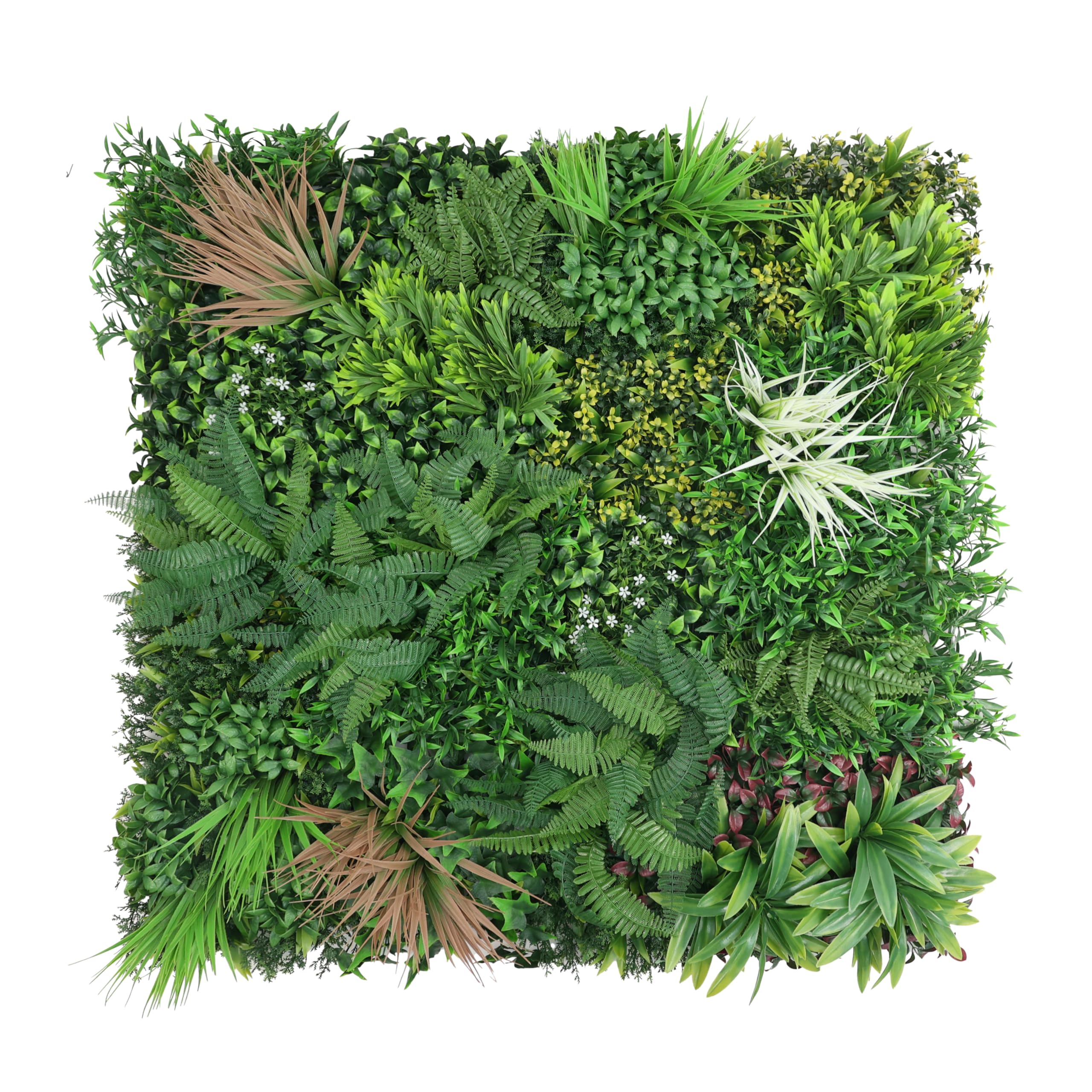 Mugar- Jardines Verticales Artificiales para Decoración Interior y Exterior- 100x100 Centímetros- Flor Artificial de Pared, Decoración Moderna Hogar, Oficina. Seto Pared (Tropical)