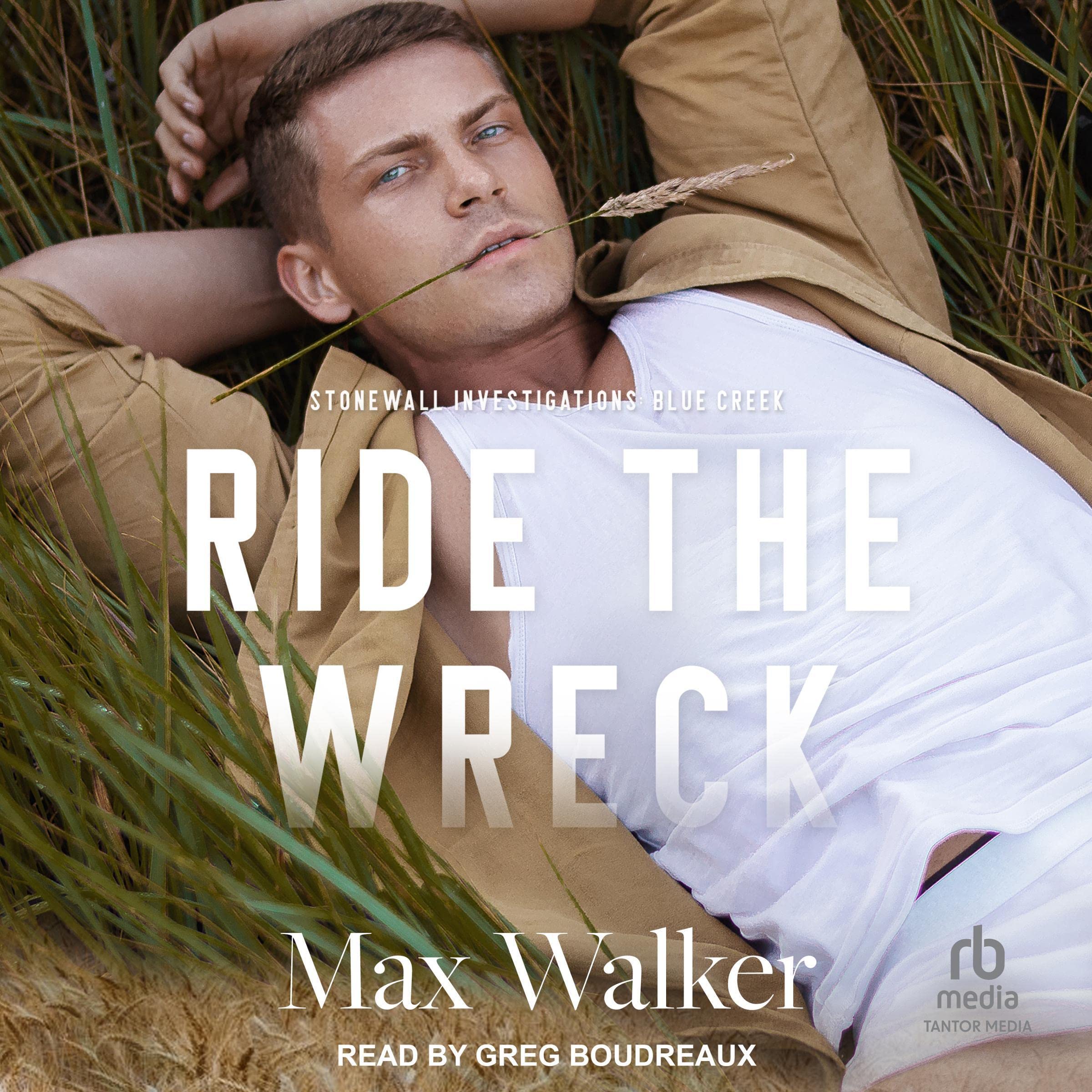 Cover art for Ride the Wreck