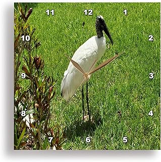 3dRose Image of A Wood Stork On My Cape Coral Florida Lawn 10x10 Wall Clock