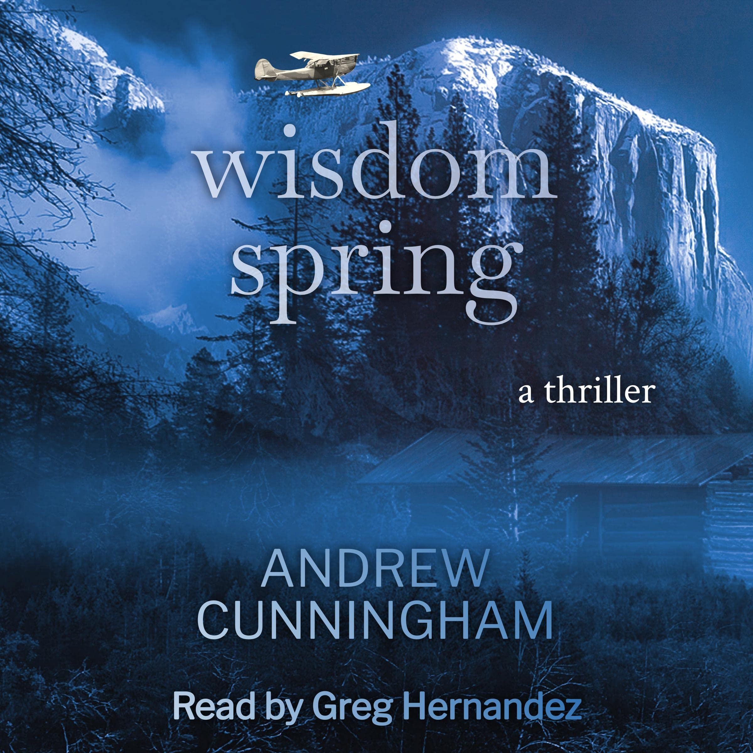 Cover art for Wisdom Spring