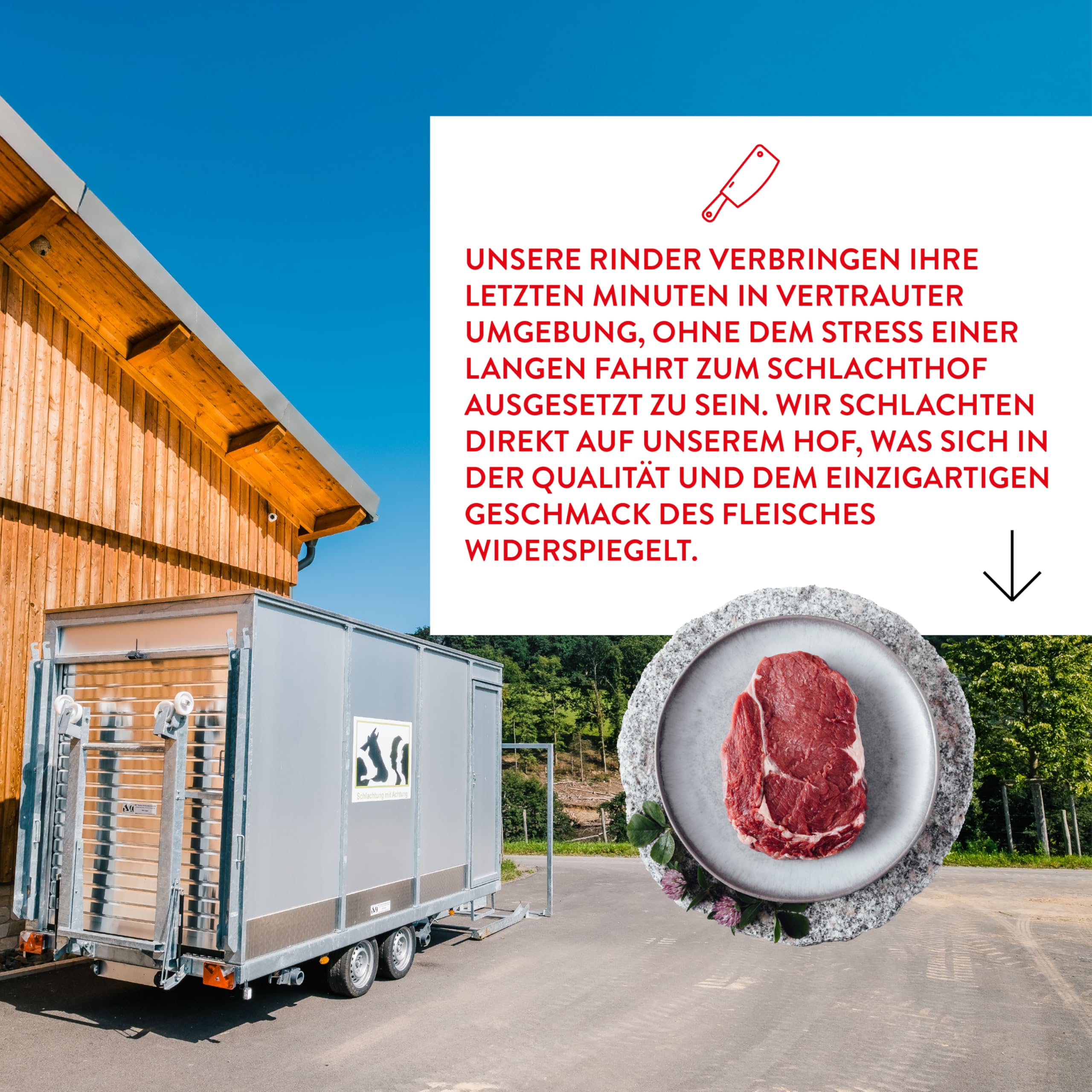 Probierpaket 6 Bio-Fertiggerichte im Glas (6x 620ml)