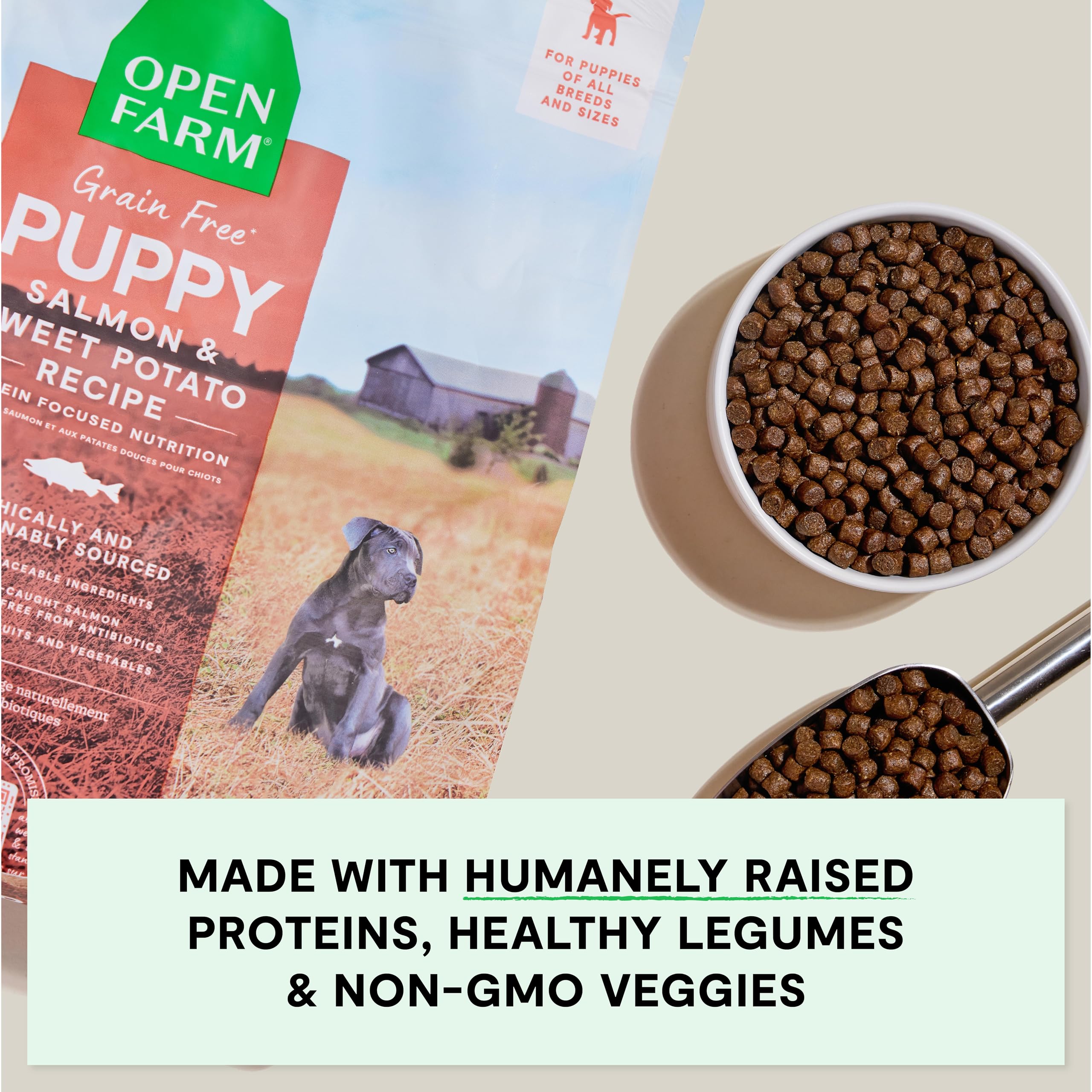 Wild Caught Salmon Non Grain Free Dog Food Open Farms Dog Food