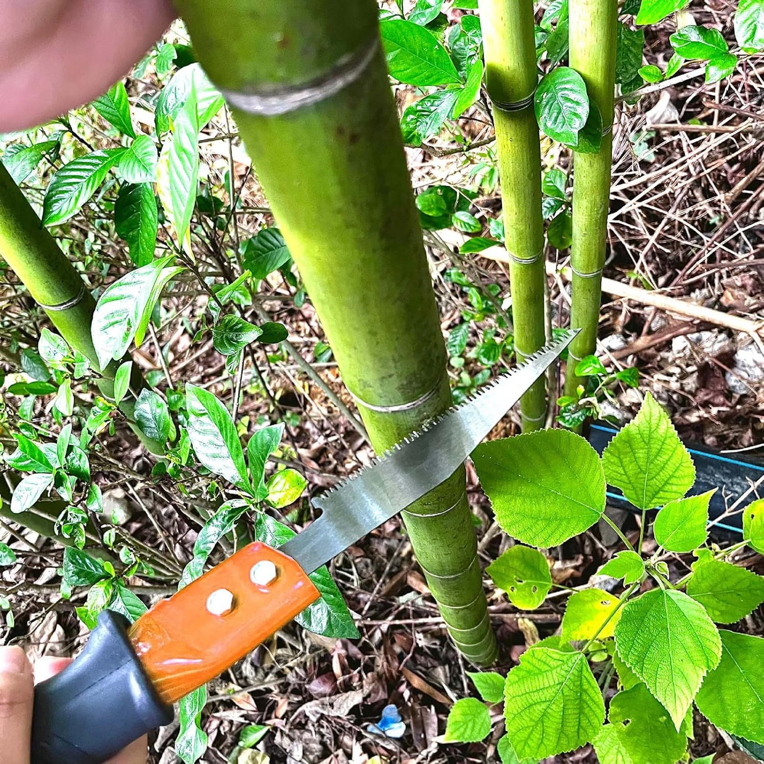 Manual Pole Saw, 11.15FT Extendable Tree Trimmer Pole Saw with Steel Blade Tree Trimmers Long Handle Pruner Pole Saws for Tree Trimming 8 Sections Assembled 3.4m