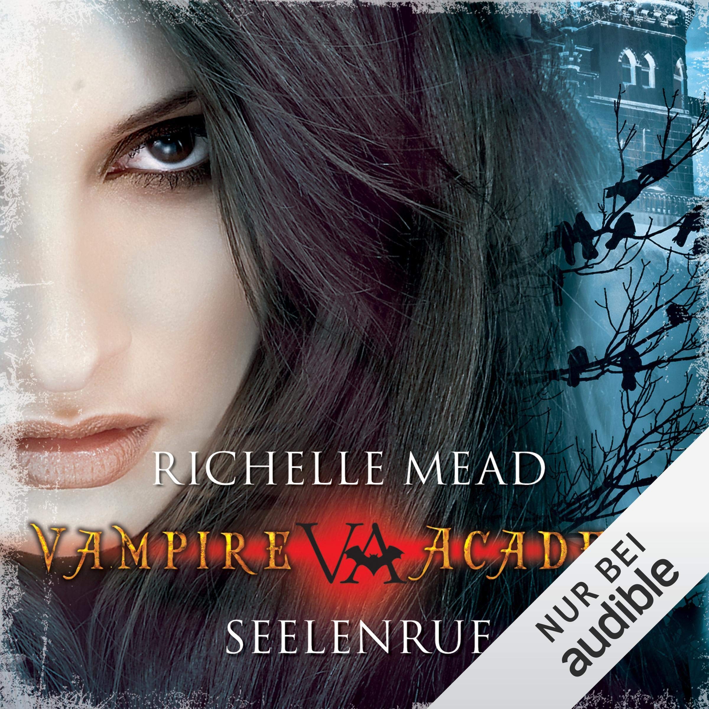Cover art for Seelenruf