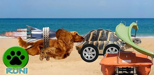 Pet Challenge Multiplayer