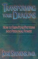 Algopix Similar Product 14 - Transforming Your Dragons How to Turn