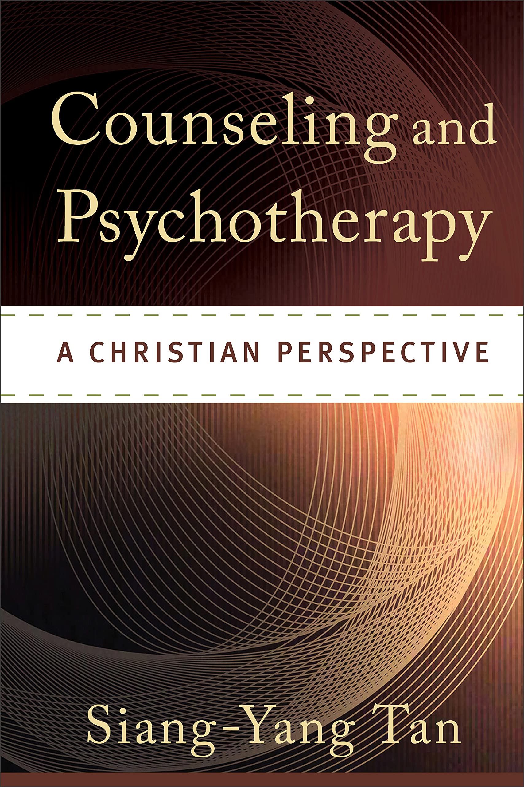 Counseling and Psychotherapy: A Christian Perspective Hardcover – January 1, 2011