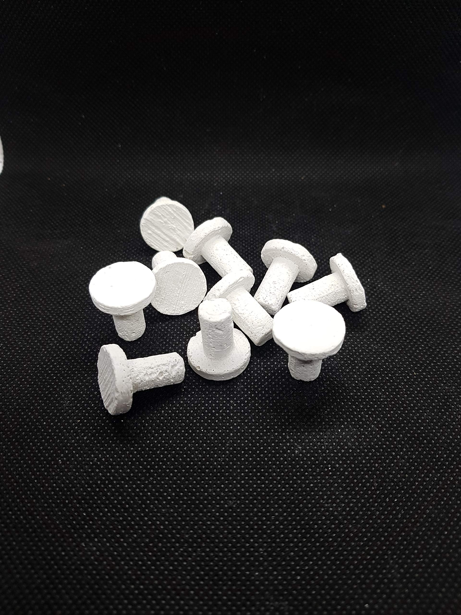 Reef-Geeks Coral Frag Plugs, Small head mushroom, zoa, sps, lps, marine coral.(x10)