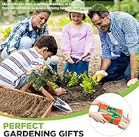 Vista 5 de WORKPRO Paleta de mano de jardín de 11 pulgadas, palas de jardín de acero inoxidable pulido resistente con mango de madera, pequeñas herramientas