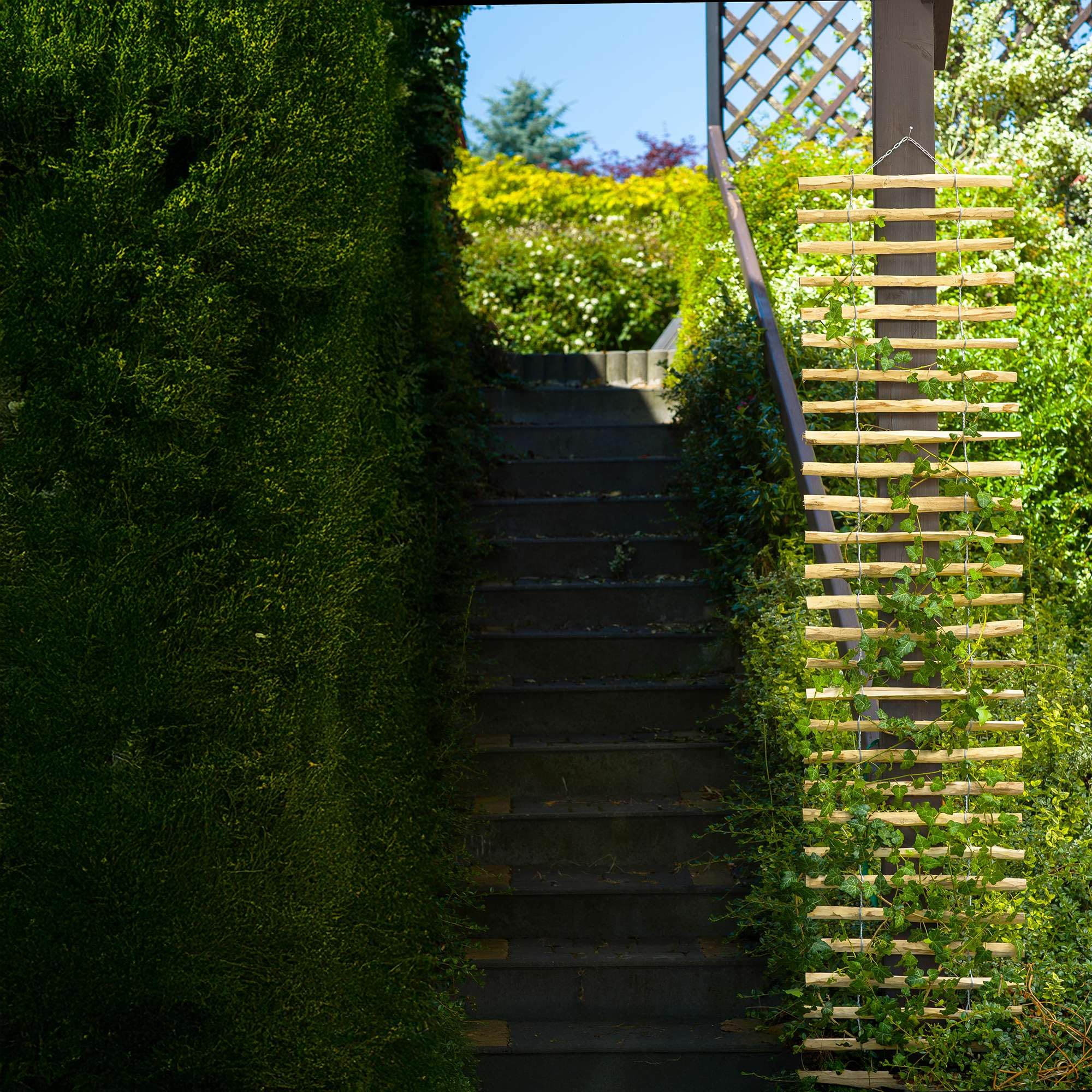 BOGATECO Treillis pour Vignes en Bois | 50 x 200 cm | Naturel Support pour Plantes grimpantes | Décoration pour terrasse, Jardin et Balcon