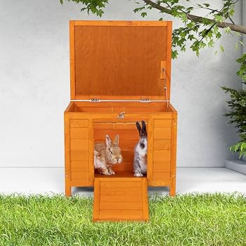 Cabaña De Madera Para Mascotas, Casa De Animales, Sin Fondo | Cuotas Sin Interés