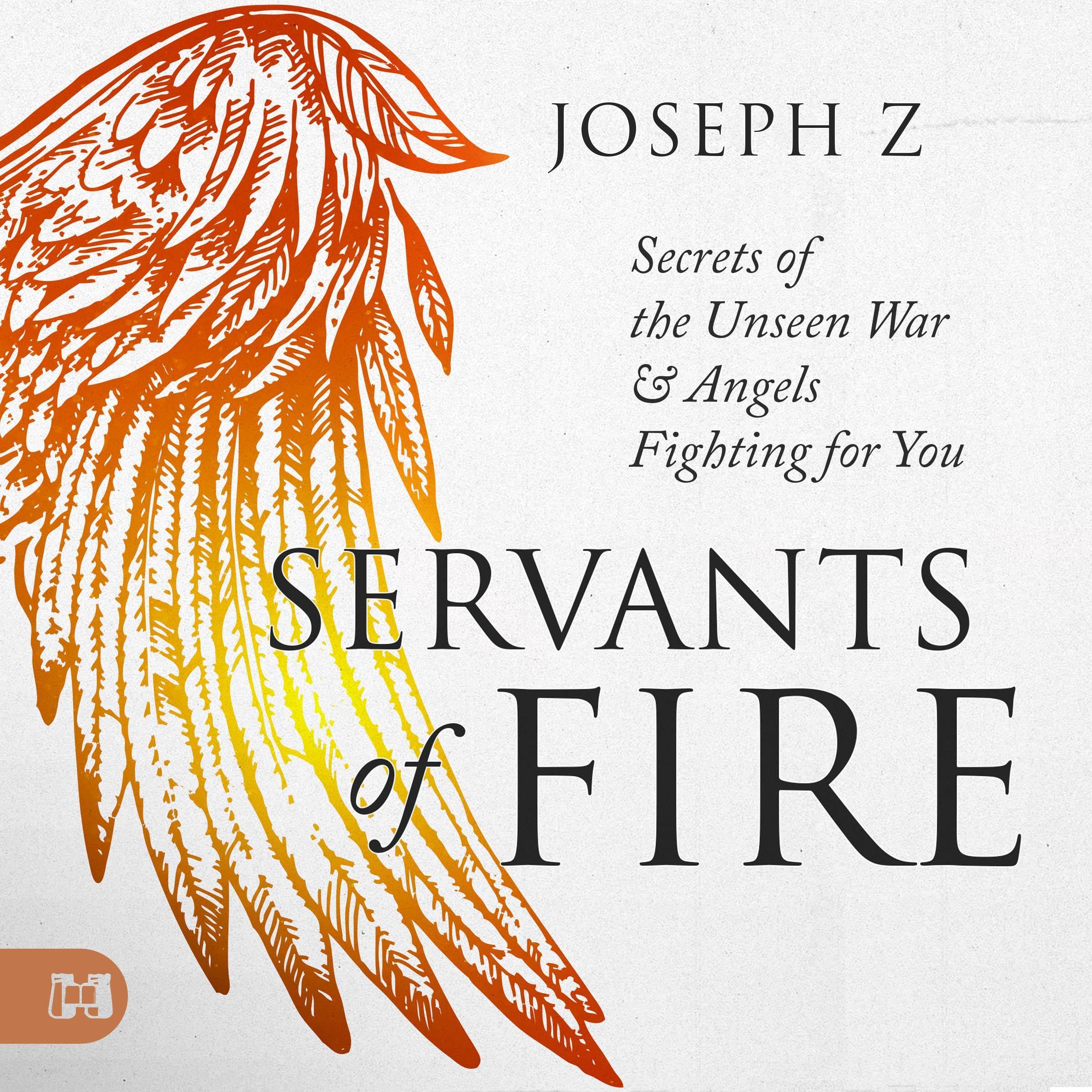Cover art for Servants of Fire
