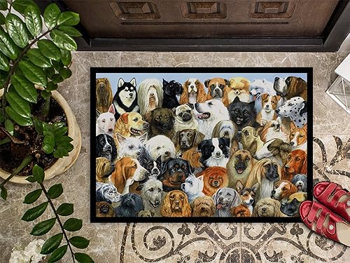 Miniatura 3 de Caroline's Treasures BDBA0441JMAT - Felpudo para puerta delantera, 24 x 36 pulgadas, para interiores y exteriores, para entrada, antideslizante,