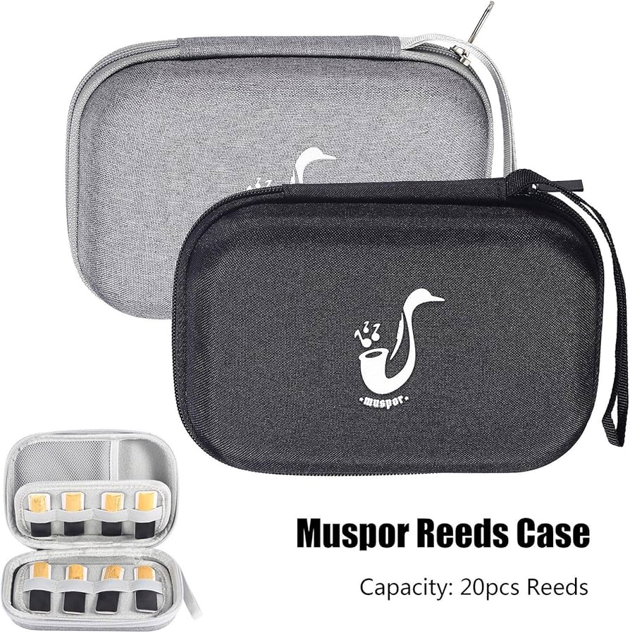 Amazon | Dickly リードケース サックスリードケース、耐摩耗性