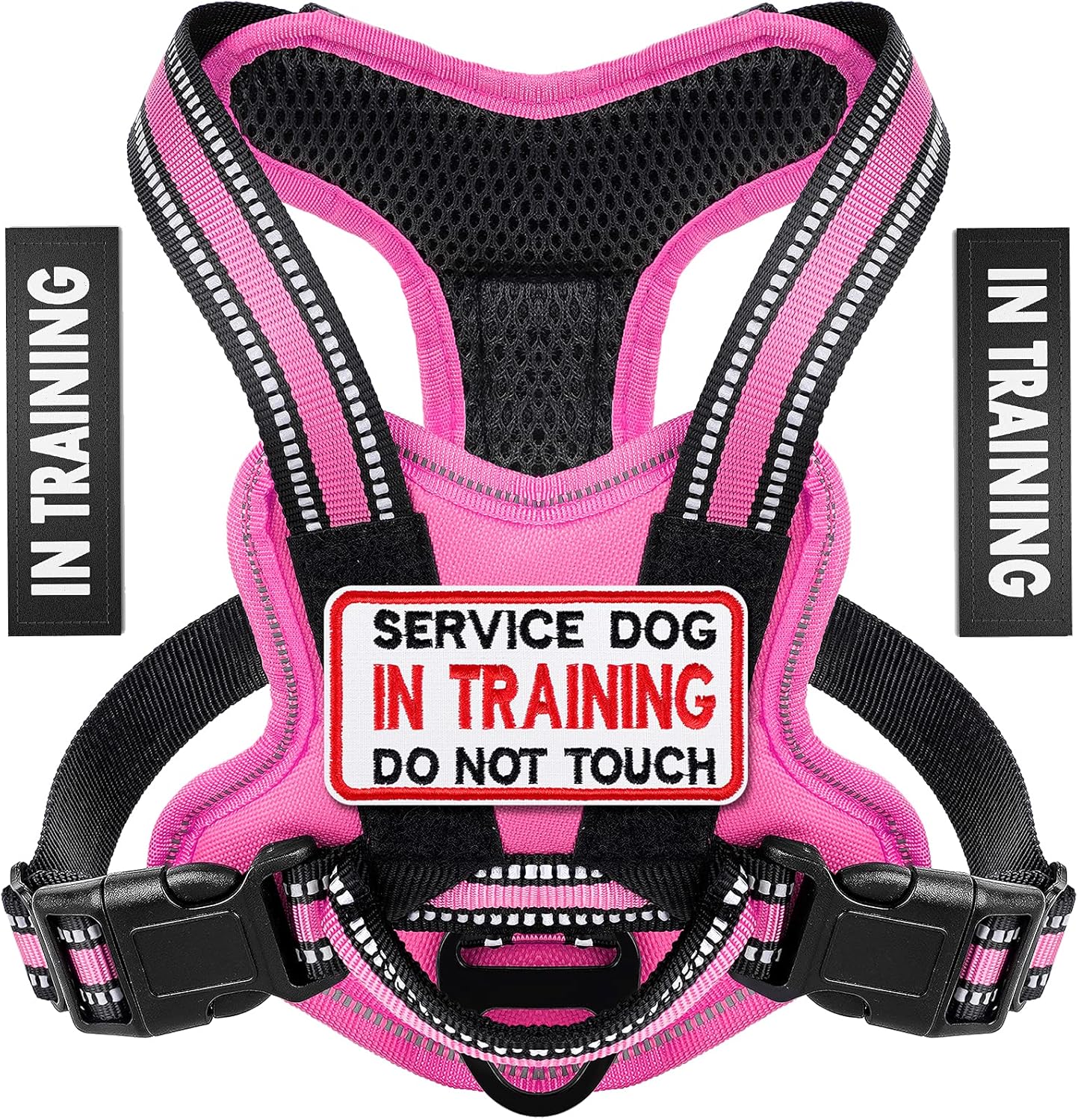 Bolux in Training Dog Harness, Over The Head Dog Harness