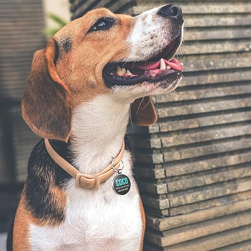 Miniatura 6 de Etiqueta de perro con código QR, etiquetas de identificación personalizadas para mascotas, etiqueta de nombre de perro personalizada, etiqueta de