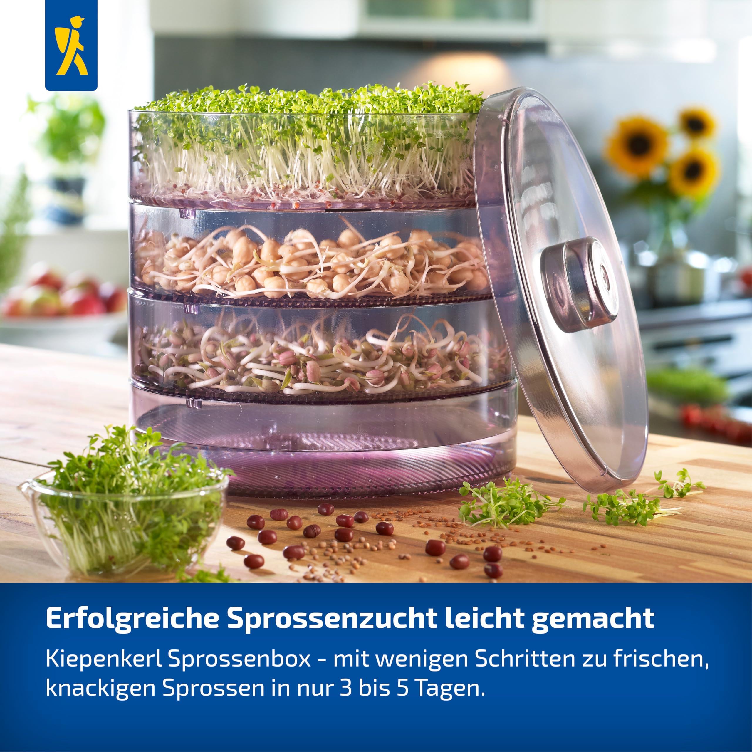 Kiepenkerl Germoir pour graines germées