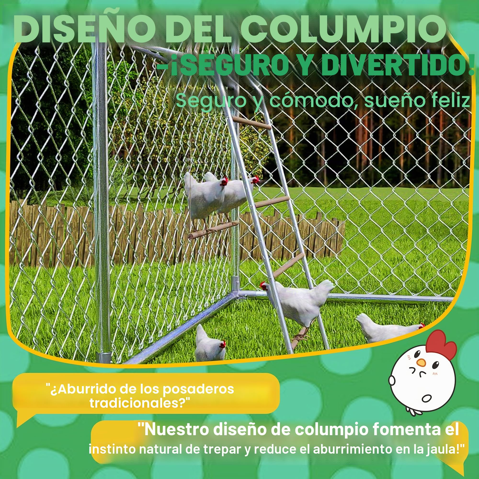 Froadp Columpio de madera de 5 niveles para pollos con percha - escalera para pollos, barra para pollos y juguete para pollos, accesorio para gallinero y corral para pollos