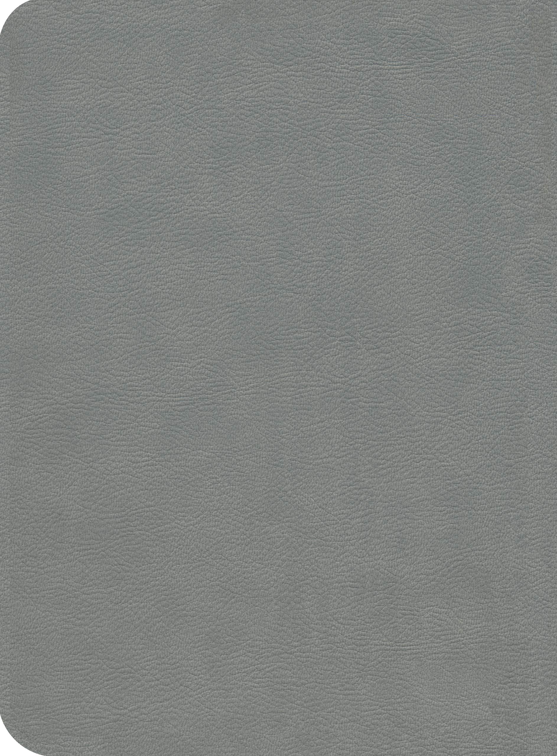 La Biblia de Estudio de La Reforma