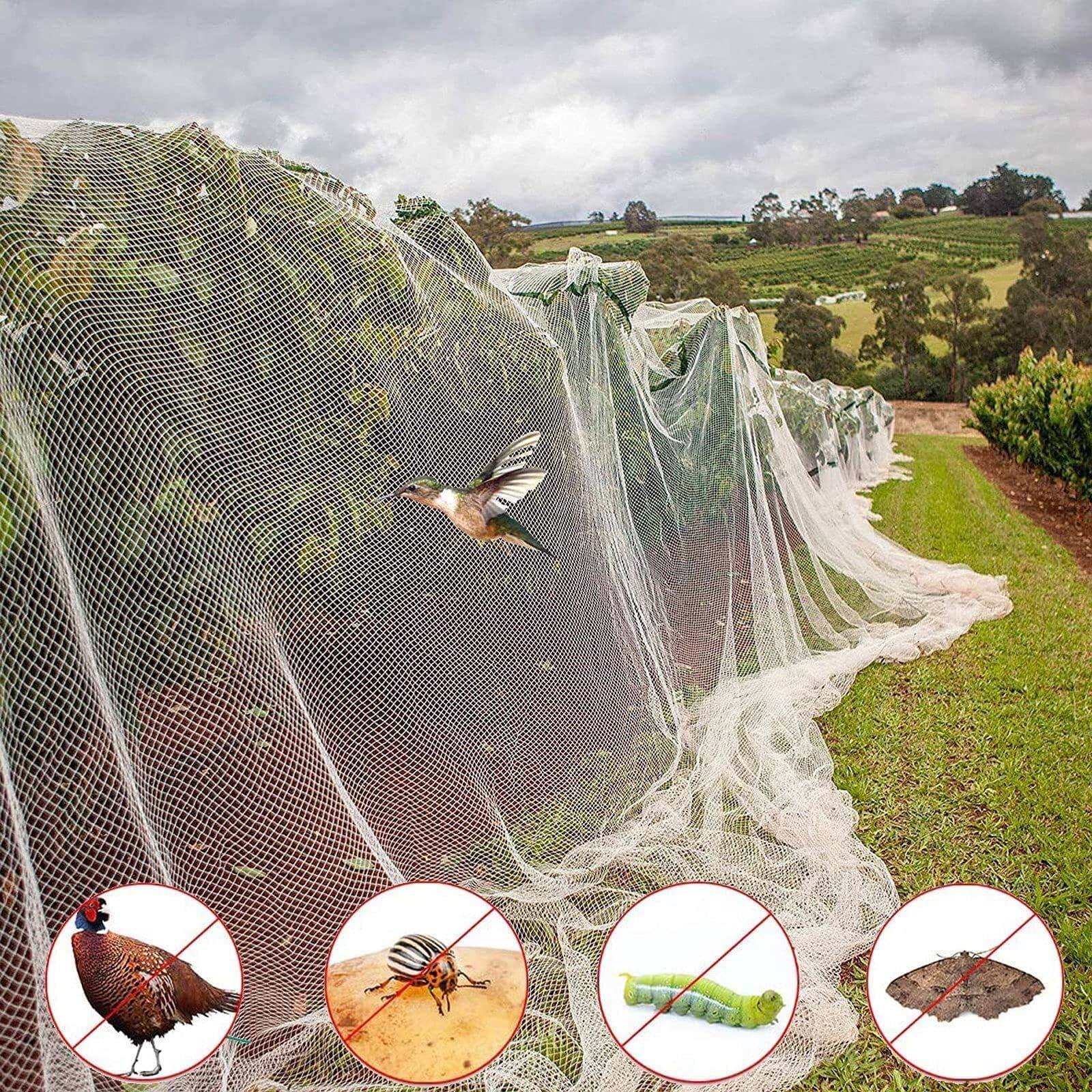 Rete Protettive da Giardino Anti Insetti, Cappuccio Protezione Piante Anti-Bird Net, Insetti Protezione Net Maglia Fine per Serra Piante Fiori, Frutta e Verdura