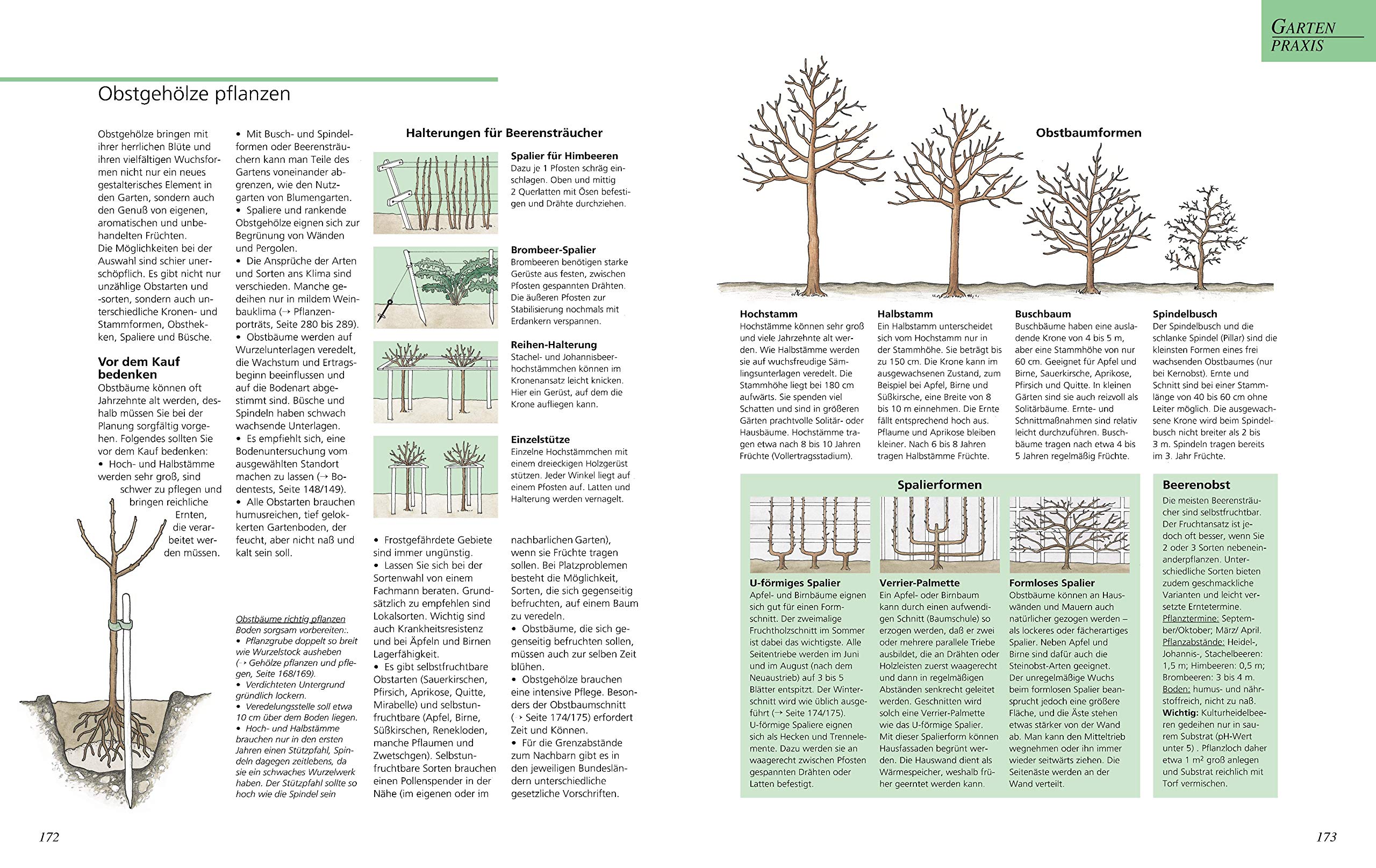 Das große GU Gartenbuch: Das Standardwerk für jeden Gartenliebhaber zu Pflanzenpflege, Gartengestaltung und Gartenpraxis | Garten-Ratgeber