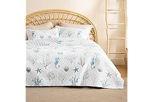 Bedsure Coastal Queen Quilt Set - Breezy Ocean Getaway for Your Bedroom