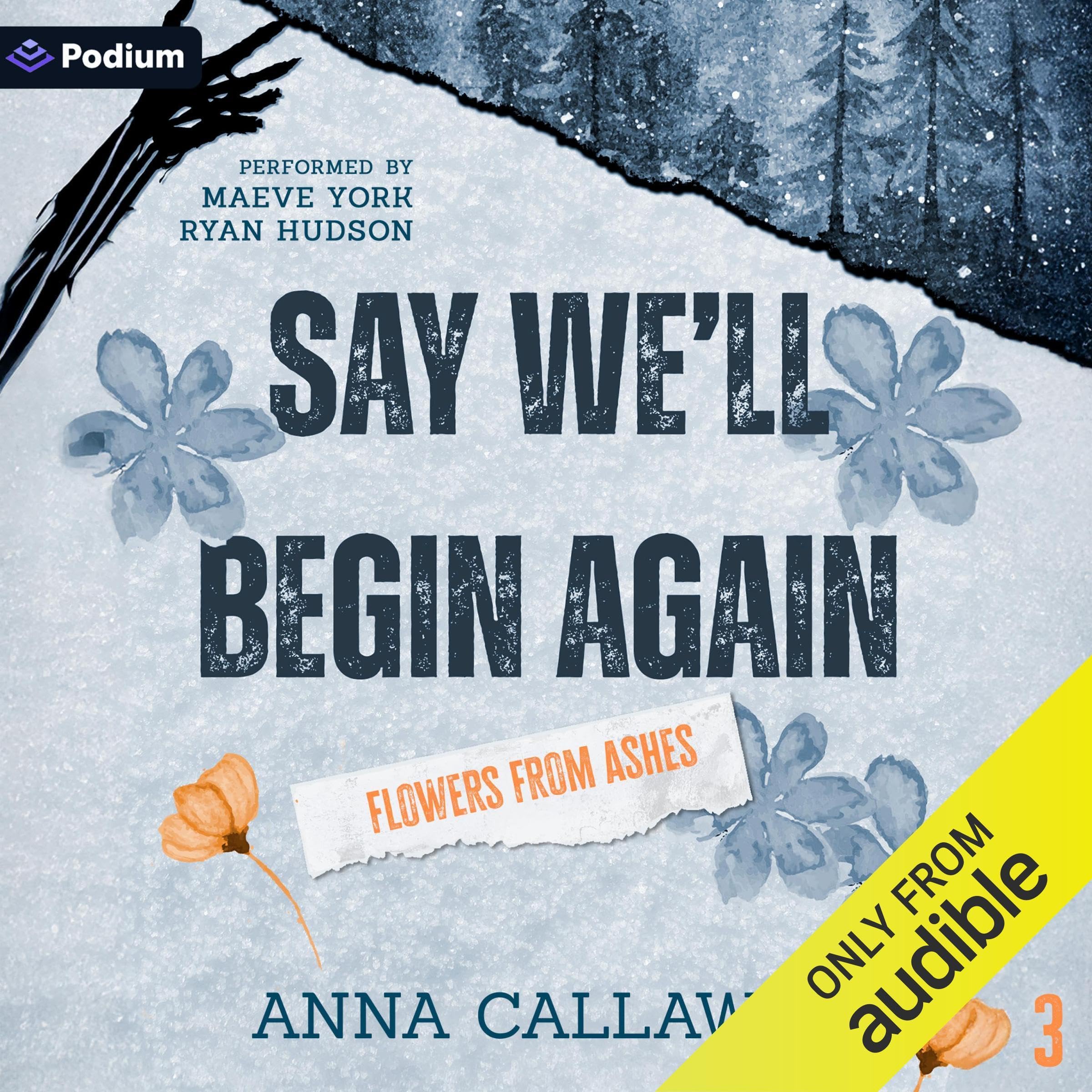 Cover art for Say We'll Begin Again