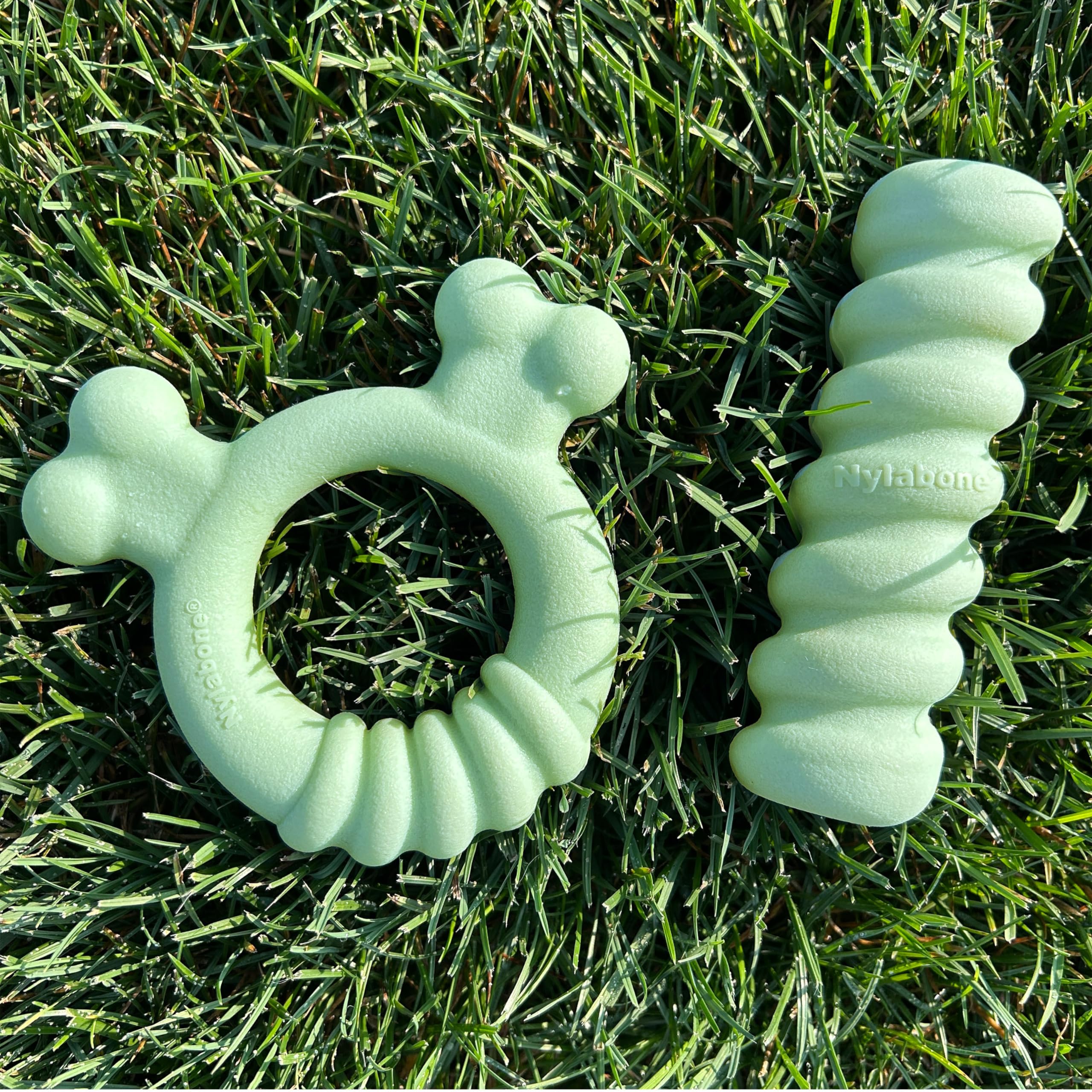 Nylabone Kauspielzeug für Welpen, sensorisches Material, Kauspielzeug für Welpen, gegen Langeweile und Stimulation, Welpenzubehör, allergenfrei, Erdnussbutter und Hühnergeschmack, klein/normal, 2