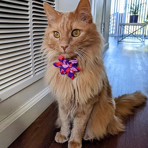 Miniatura 6 de Huxley & Kent Molinete para mascotas  My Puppy Love (pequeño)  Accesorio de collar de velcro para el día de San Valentín para perrosgatos  Divertido