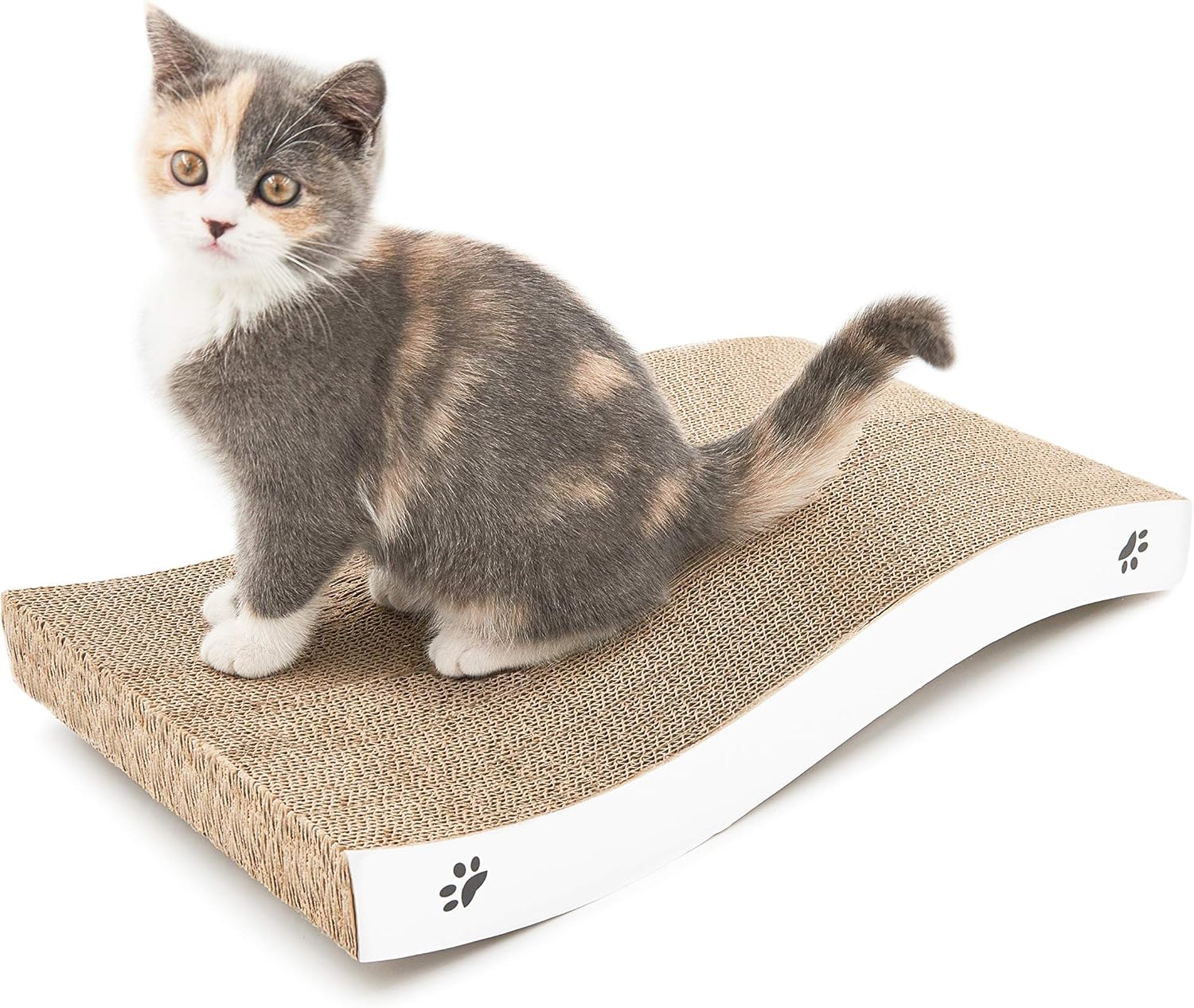 cat cardboard scratch pad