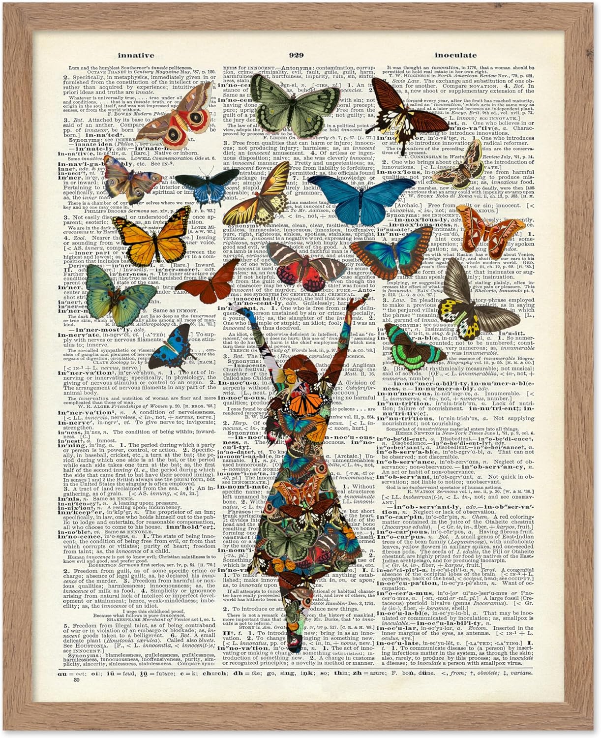 Poster Master Vintage European Butterflies and Moths Poster - Retro Butterfly Print - Flower Art - Gift for Him, Her & Animal Lover - Floral Decor for Bedroom or Living Room - 16x20 UNFRAMED Wall Art