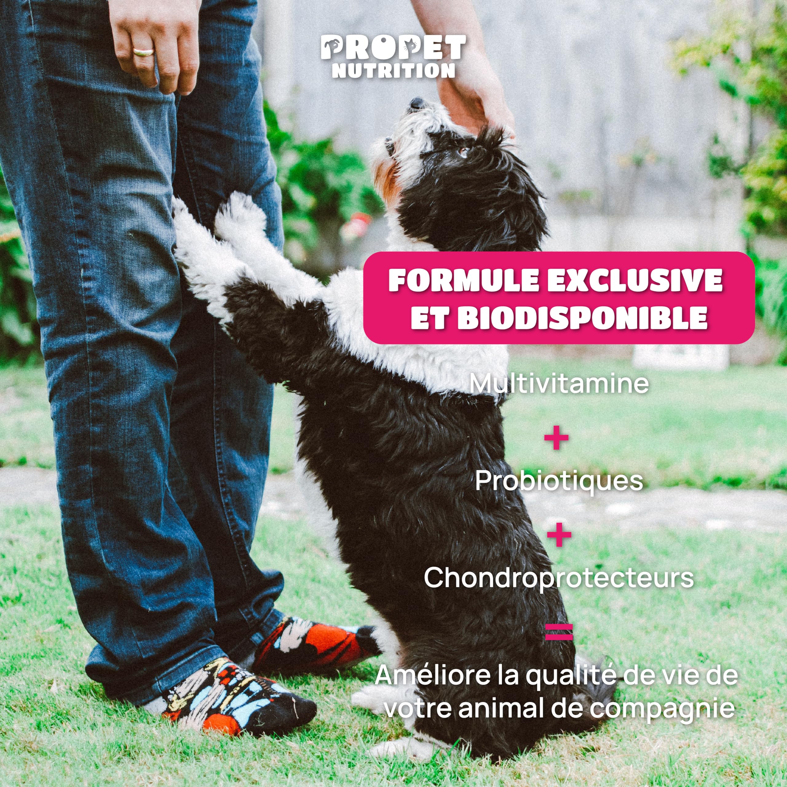 Complement Alimentaire Chien et Chat 20 en 1. Vitamines, Probiotique et Glucosamin Anti Arthrose. VIT A, B, C, E, H, Omega 6, Levure de bière + Fer. 100% Naturel. Effet Anti Inflammatoire. 120 Doses