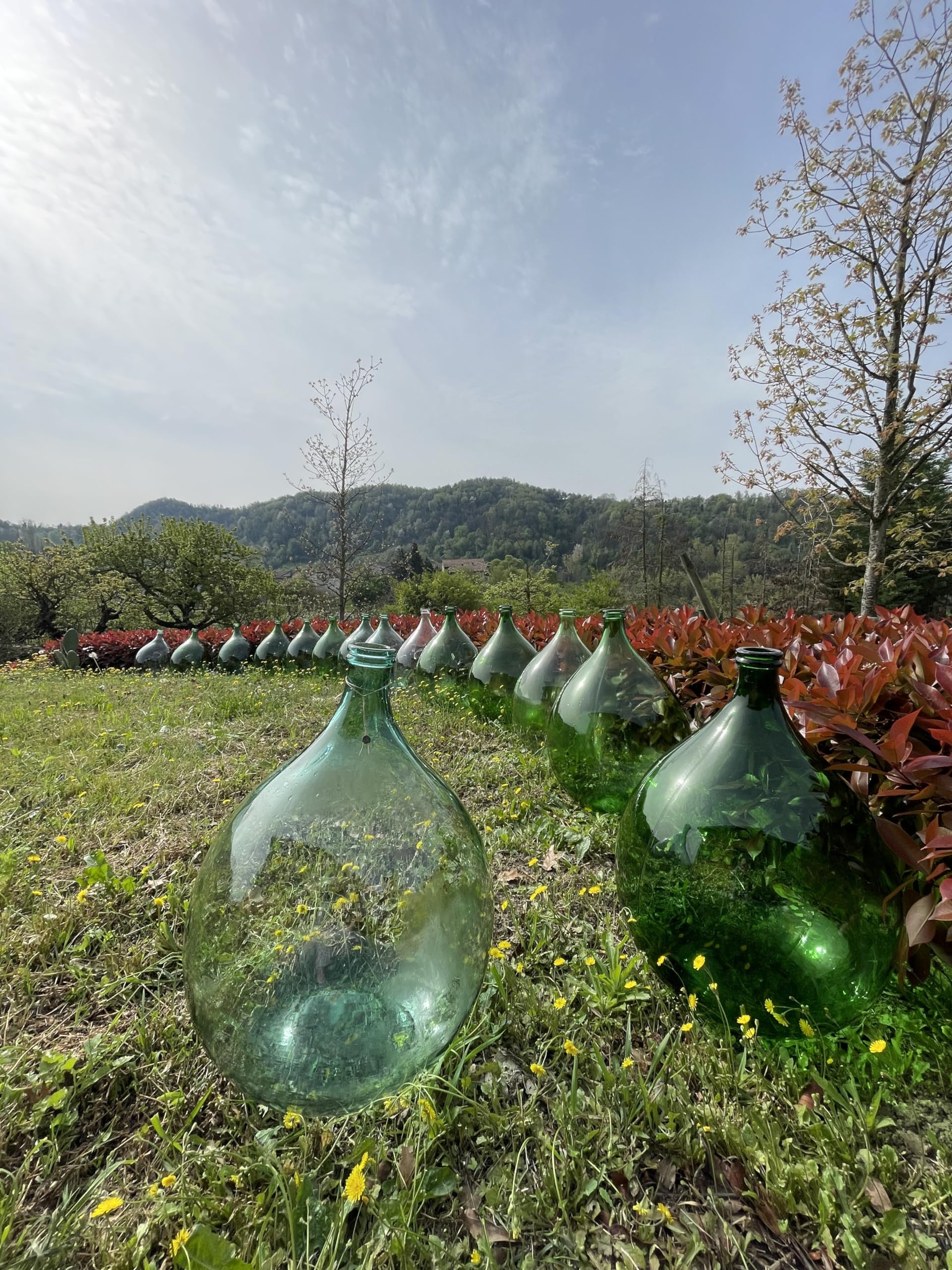 Generico Damigiana in Vetro Made in Italy 54 Litri Verde
