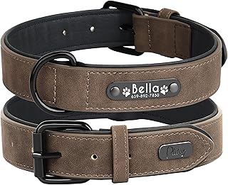 Didog Hundehalsband, weiches, gepolstertes, Leder, mit personalisierbarem, graviertem Namensschild, D-Ring. Für kleine und mittelgroße Hunde geeignet. product image