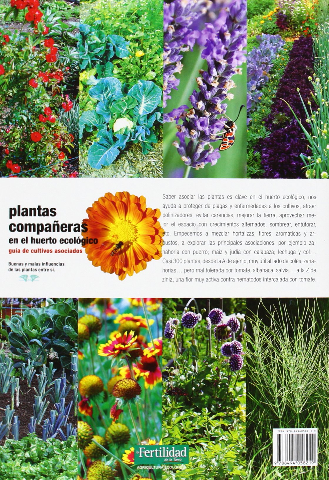 Plantas compañeras del huerto: guía de cultivos asociados: 16 (Guías para la Fertilidad de la Tierra)