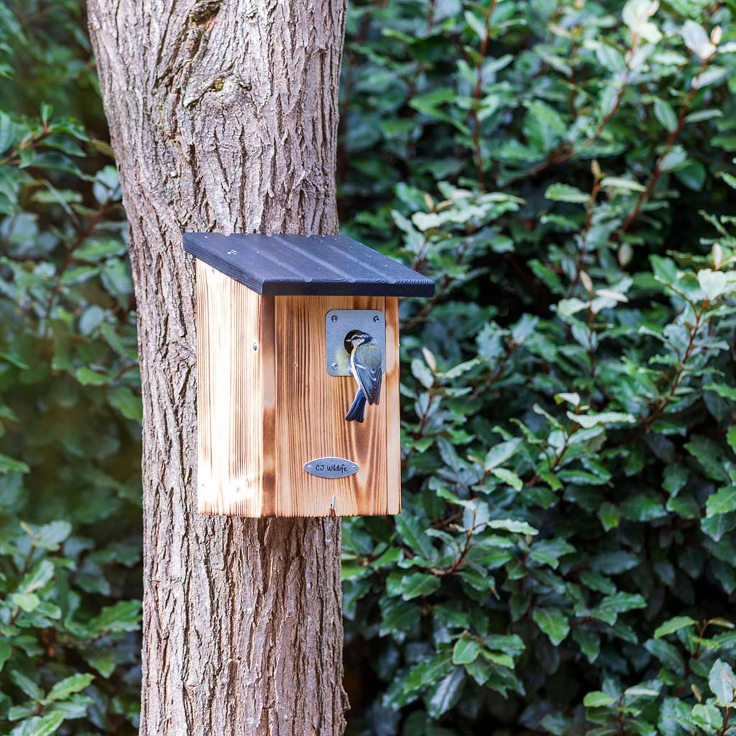 CJ Wildlife Nistkasten – Vogelnistkasten für draußen wetterfest – 28 mm Einflugöffnung für Meisen – Integrierter Schutz-Tunnel – FSC-Holz schwarz/braun