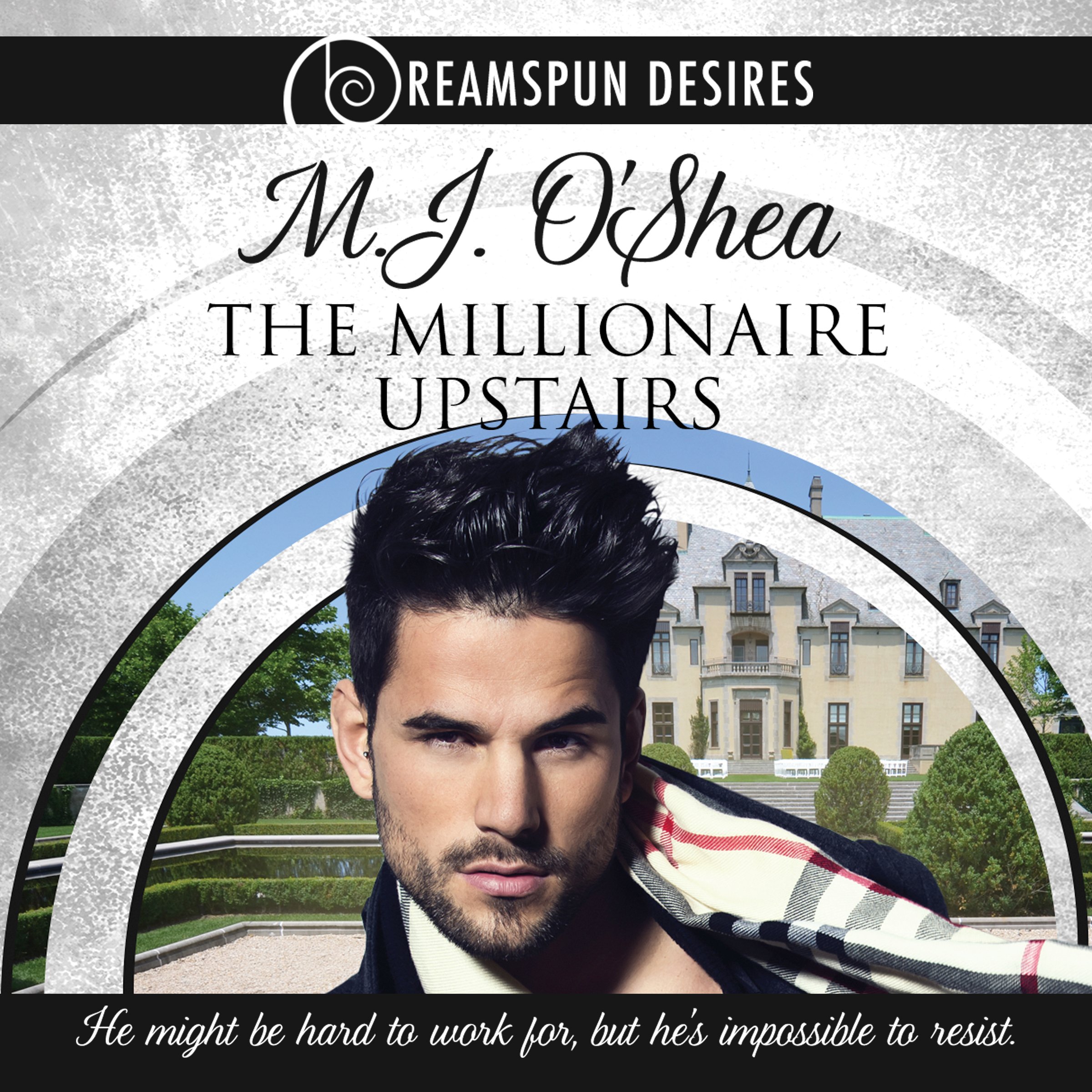 Cover art for The Millionaire Upstairs