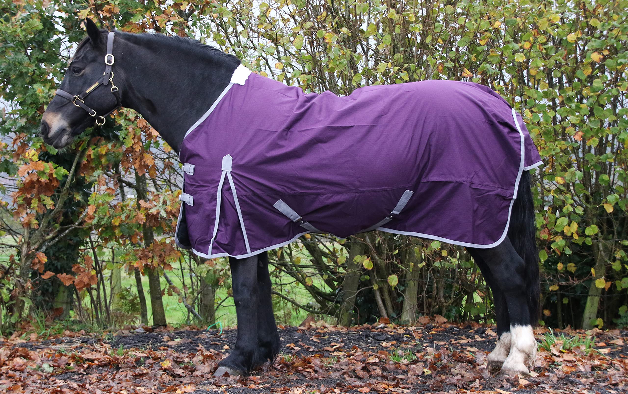 No Fill Turnout Horse Rugs Horse Turnout Rug 0g Fill 600d Lightweight No Fill Turnout Horse Rugs | 0g Quilted Filling | Standard Full Neck Horse Rain Sheet (6'0'')