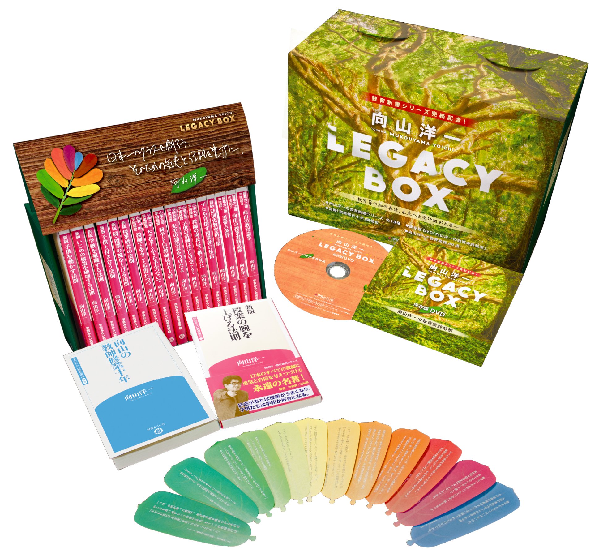 【希少】向山洋一　飛翔期　実物資料集　全巻＋別巻セット 飛翔期 向山洋一実物資料集 全25巻+別巻 セット - メルカリ