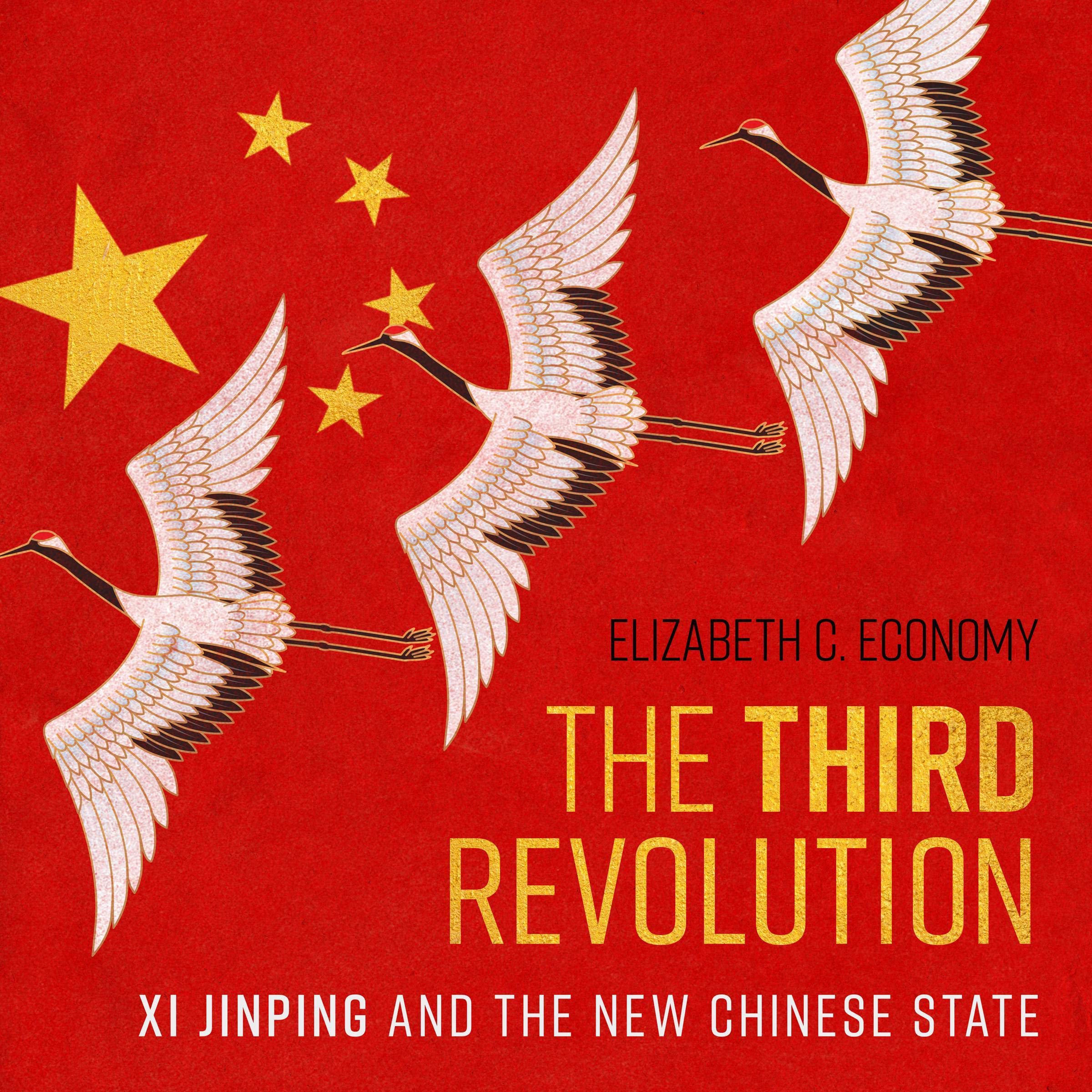 Cover art for The Third Revolution