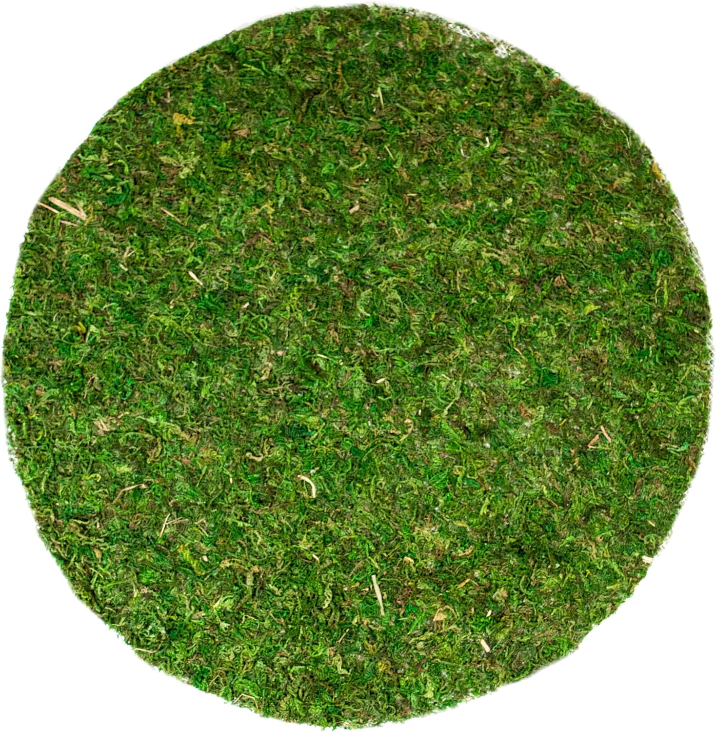 SuperMoss (26330) Moss Soil Toppers (Place Mats), Fresh Green, 18" (3 units)