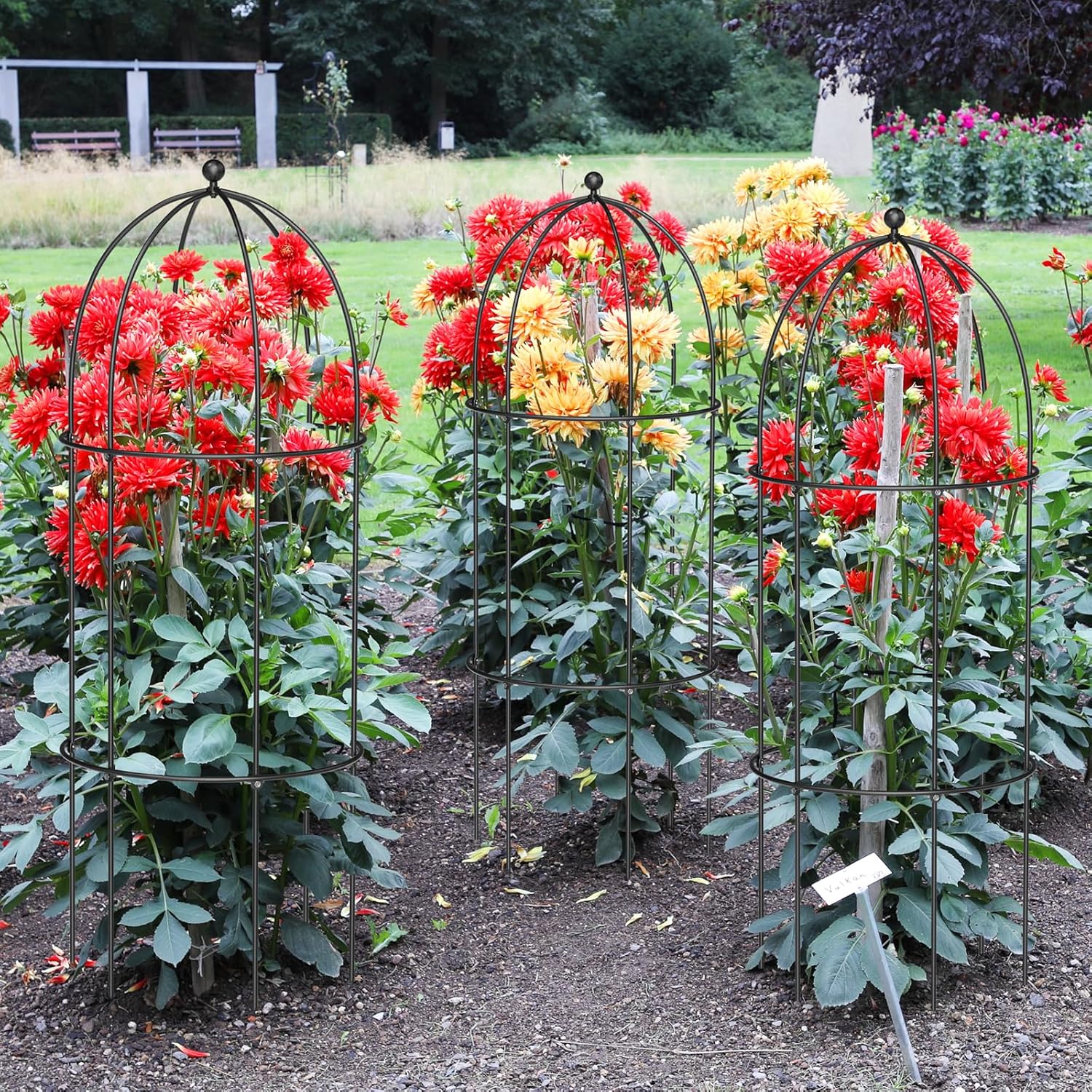 SUNYRISY Metal Garden Arch Trellis for Climbing Plants Outdoor, 17.7" x 47.2" Tomato Cage Obelisk Trellis for Flowers Cucumber Rose Vegetable Support