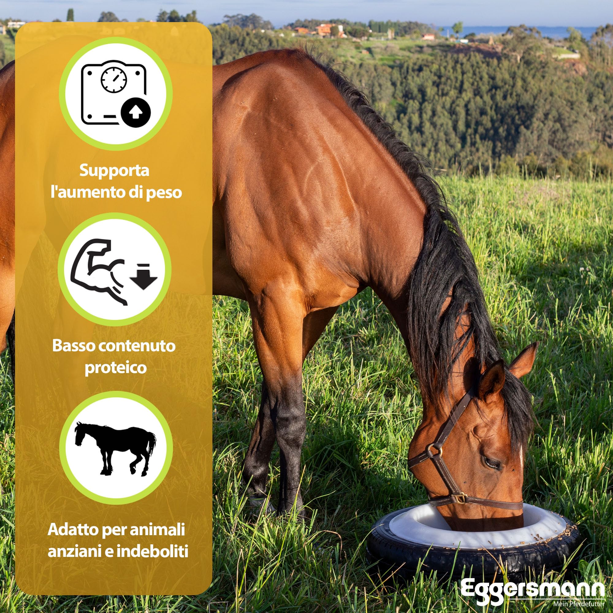 Eggersmann Fiocchi di Mais 15 kg – Mangime Unico per Cavalli e Pony – Ideale in Caso di Maggiore Potenza e Animali indeboliti – Fornisce energia e Supporta L'Aumento di Peso