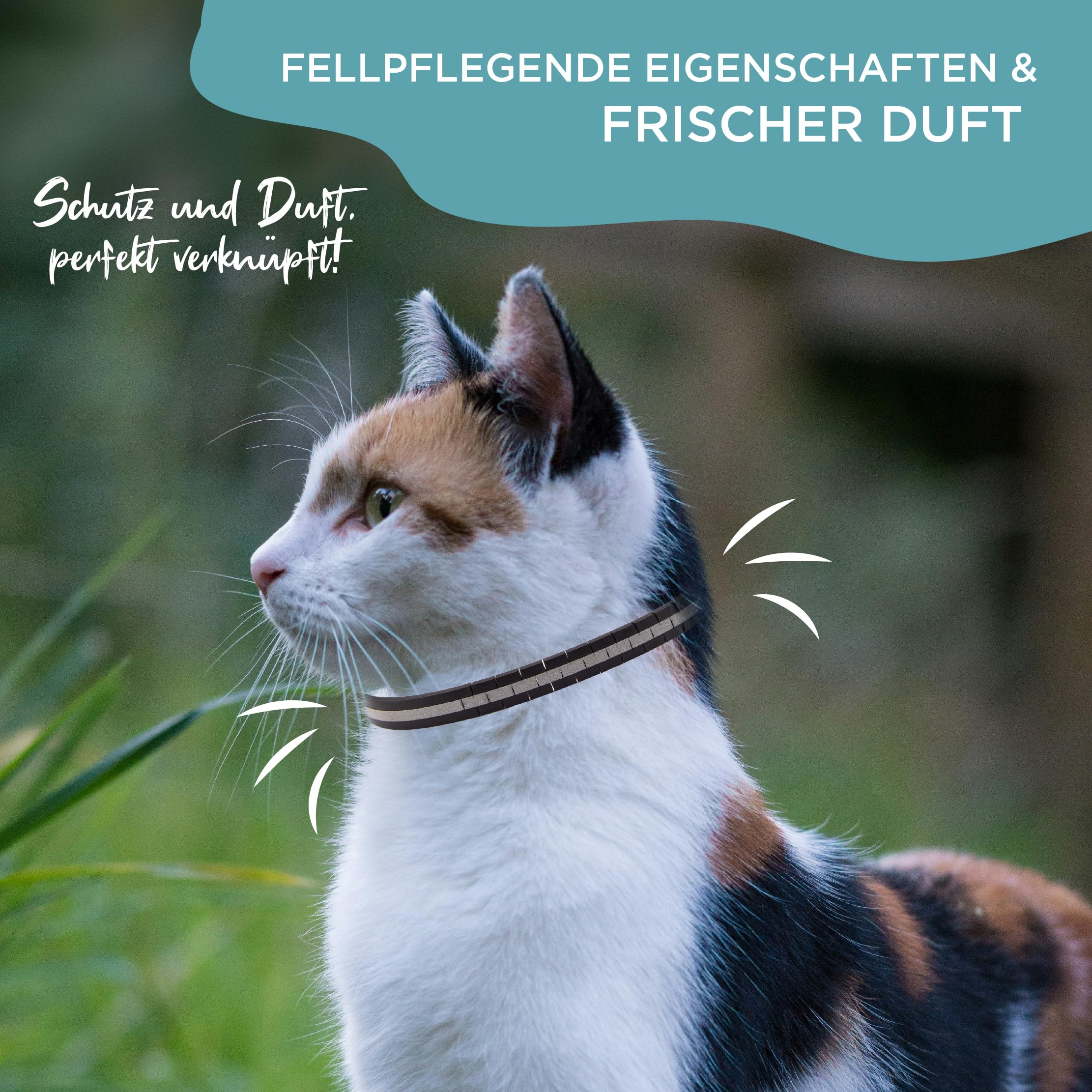 MITTENS Genesungshalsband Für Katzen – Weicher, Wendbarer Elizabethanischer Kegel (Biene, Klein)