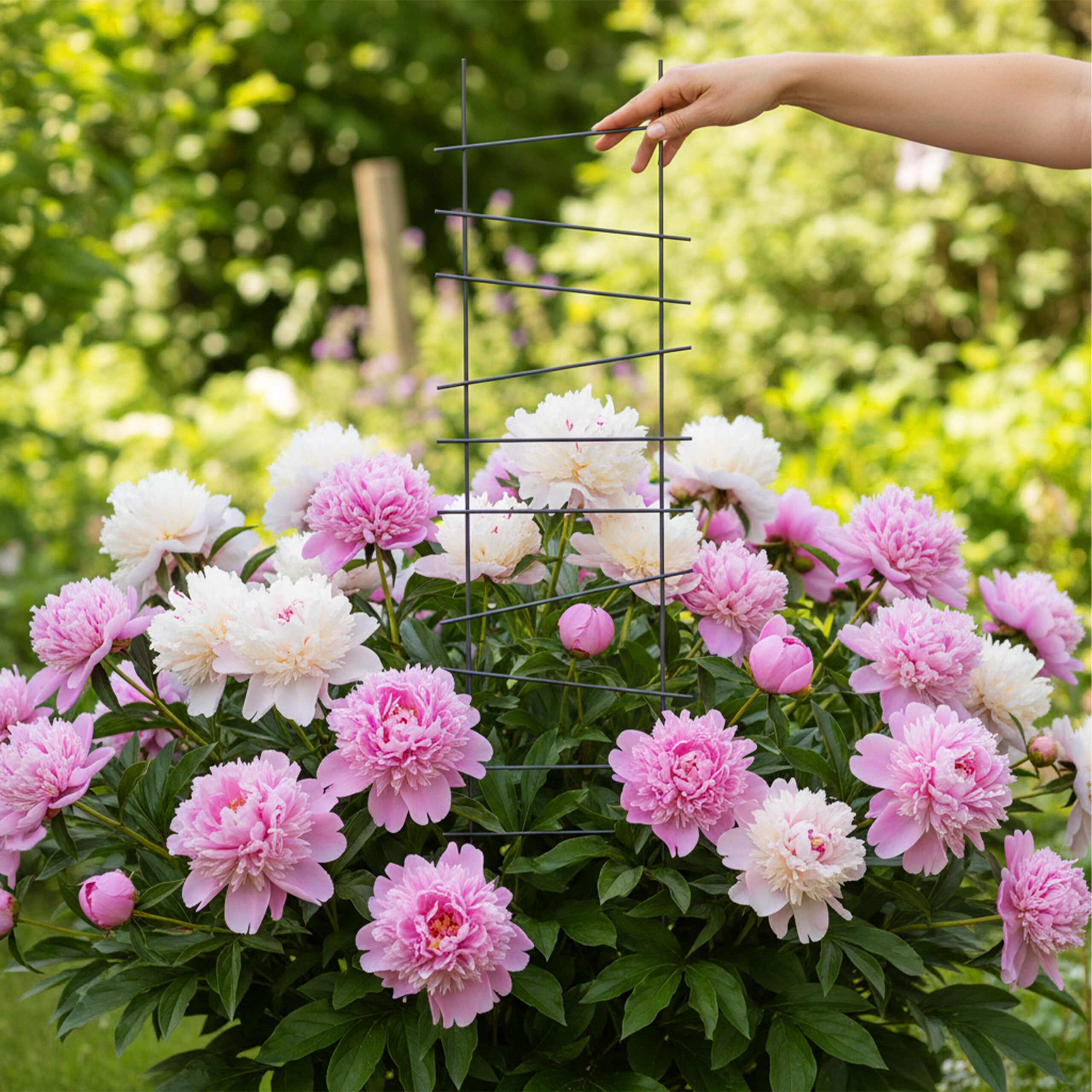 Relaxdays Griglia per rampicanti, Set 8, HxL: 115 x 28 cm, Metallo, Giardino e vasi, Nero